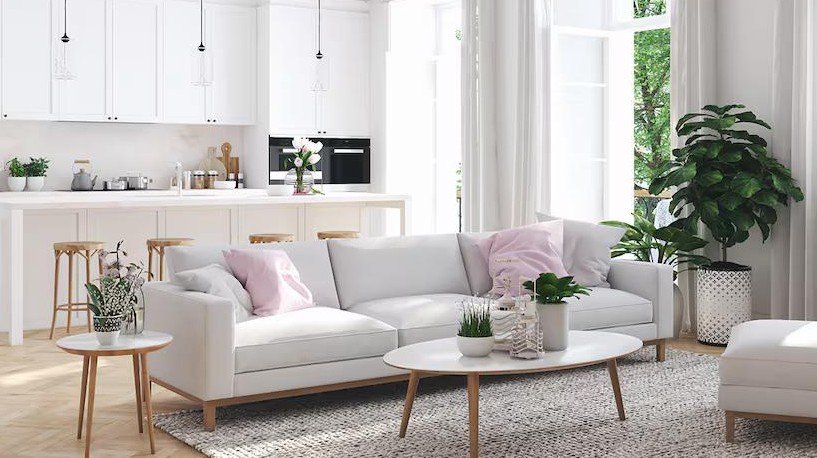 Room with a clean couch